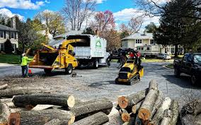 Best Landscape Design and Installation  in Granite Shoals, TX